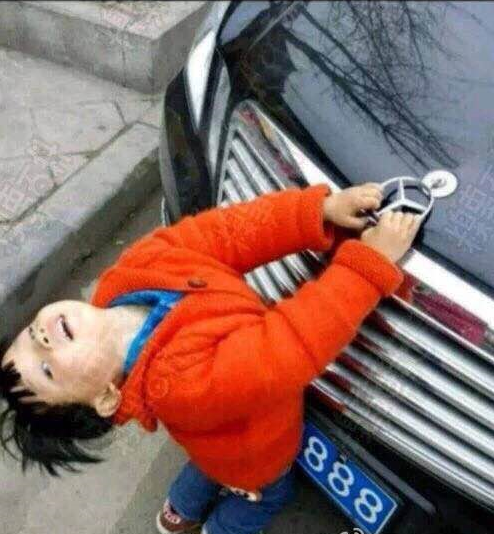 出其不意必自毙，出其不意必自毙（怎样才能弄下来卖钱）