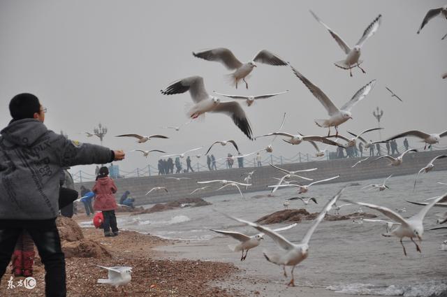 常见镇宅神兽，农村五大镇宅神兽