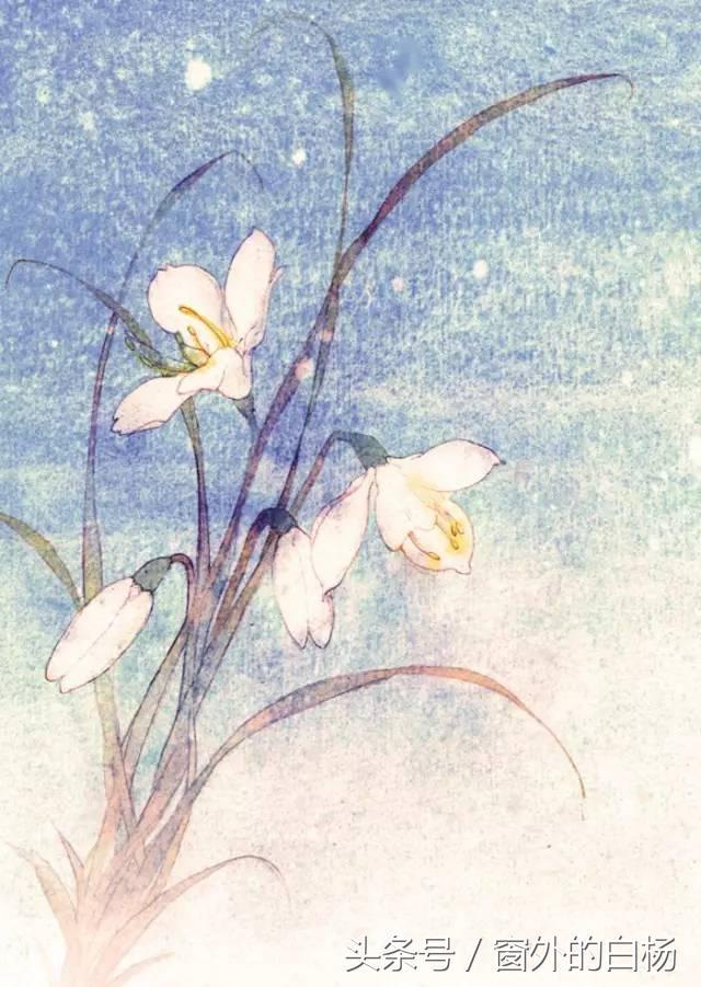 悠悠寸草心第一部，悠悠寸草心第一部的演员（悠悠寸草心）