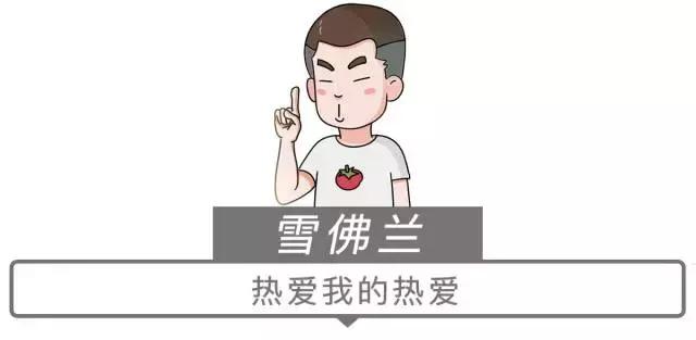 汽车广告语大全,最新的汽车导航仪广告语大全(中国人听到都会心一笑) 汽车广告语大全,最新的汽车导航仪广告语大全(中国人听到都会心一笑)