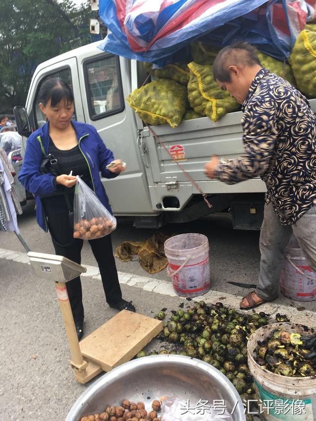 怎样剥核桃青皮，怎么剥核桃的青皮（手工剥核桃青皮）