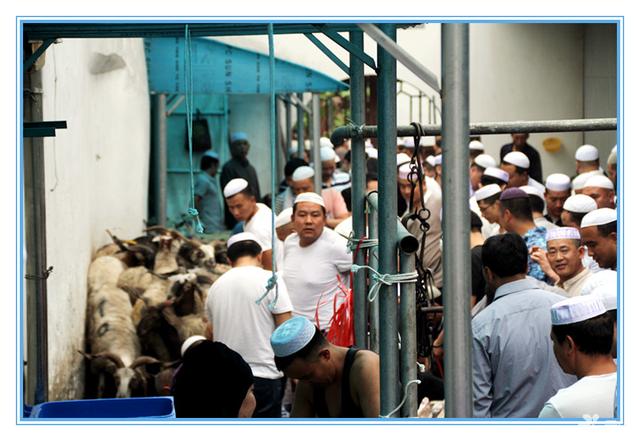 回族人民过什么节，回族现在过什么节（我国穆斯林的盛大节日——古尔邦节）
