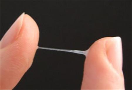 白带拉丝一天就没了是排卵吗，确定有无排卵最简单的方法（留意白带拉丝发出的排卵信号）