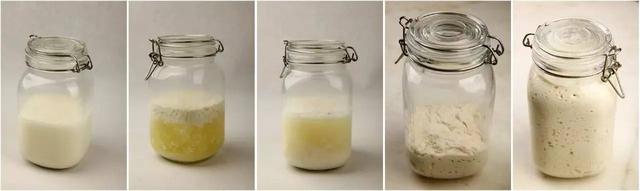 如何制作酵母菌，如何制作酵母菌临时装片（5种天然酵母的制作方法）