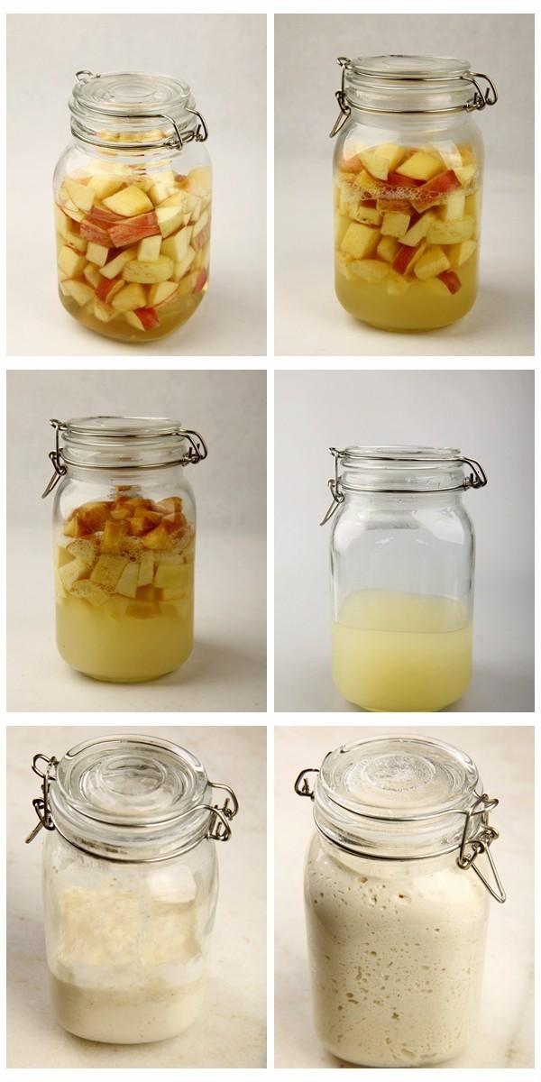 如何制作酵母菌，如何制作酵母菌临时装片（5种天然酵母的制作方法）