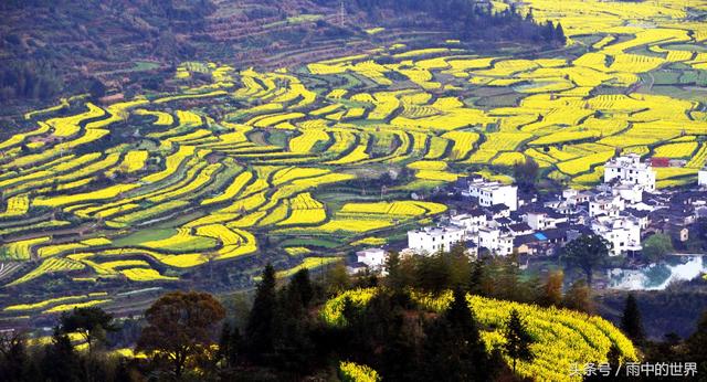 中国有多少个省，中国有多少个省2022（中国34个省份，你了解多少个）