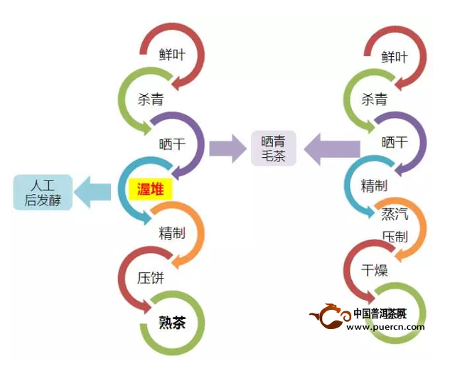 普洱茶属于什么类型的茶，普洱茶属于什么茶类（普洱茶究竟属于六大茶类中的哪一类）