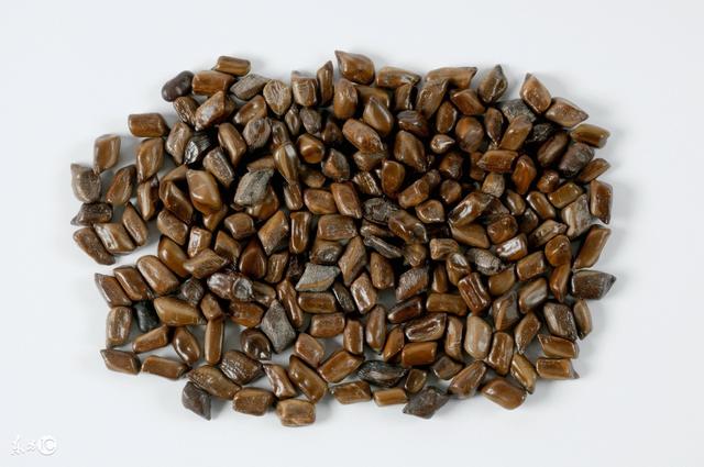 决明子可以吃吗，决明子泡茶后可以吃吗（决明子功效再多，也不能常喝）