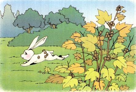 察言观色造句，察言观色造句10字（统编版二年级语文上册《植物妈妈有办法》生字扩词及造句）