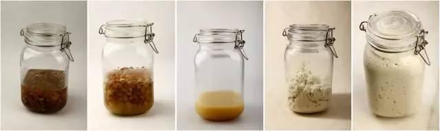 如何制作酵母菌，如何制作酵母菌临时装片（5种天然酵母的制作方法）