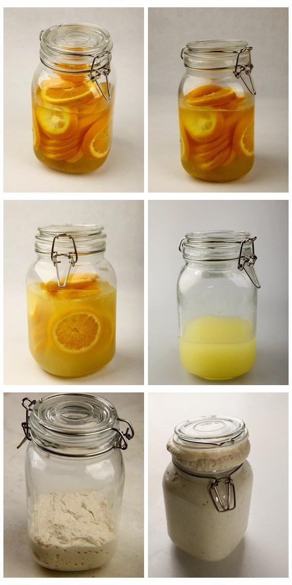 如何制作酵母菌，如何制作酵母菌临时装片（5种天然酵母的制作方法）