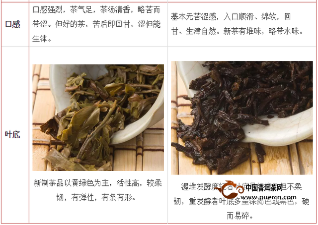 普洱茶属于什么类型的茶，普洱茶属于什么茶类（普洱茶究竟属于六大茶类中的哪一类）