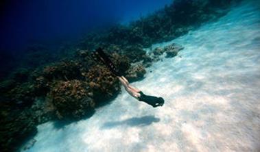 怎样抓住属猪男人的心，怎样搞定属猪的男人（只是玩玩而已三个生肖女）