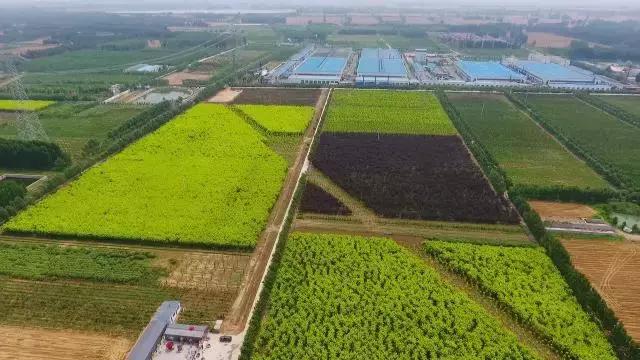 山东泰安宁阳县有什么好玩的地方，泰安市宁阳县有什么好玩的地方（泰安最适合逛的地方有哪些）
