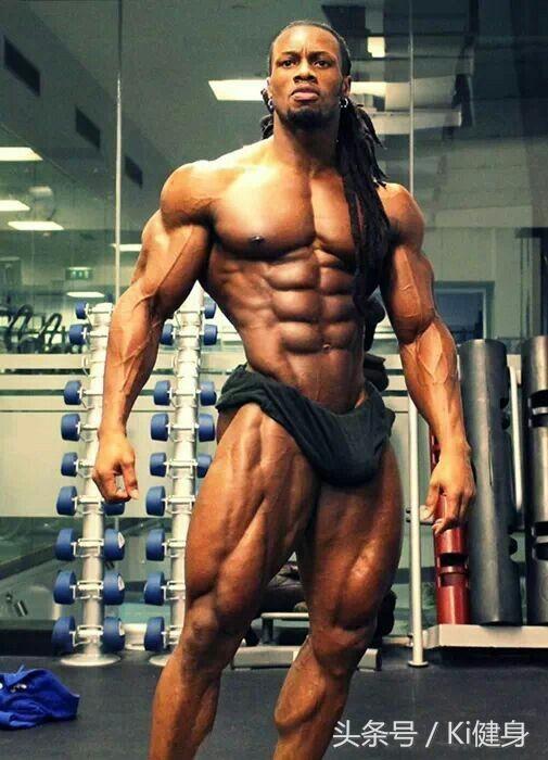 内脏图，腹直肌运动学解剖以及腹直分离问题（内脏图片 位置图）