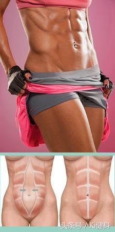 内脏图，腹直肌运动学解剖以及腹直分离问题（内脏图片 位置图）