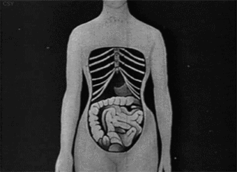 束腰有什么副作用，束腰有没有副作用（束腰减肥的危害这么大）