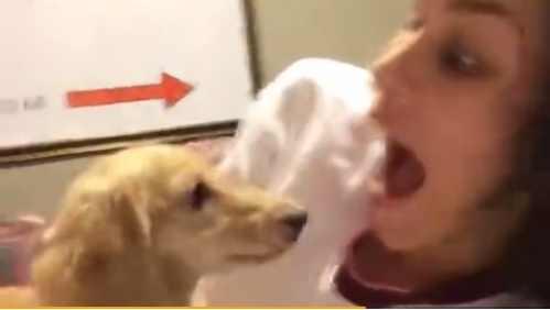 我的第一次给了狗，我的第一次给狗狗（主人在家里和狗狗做不可描述的事）