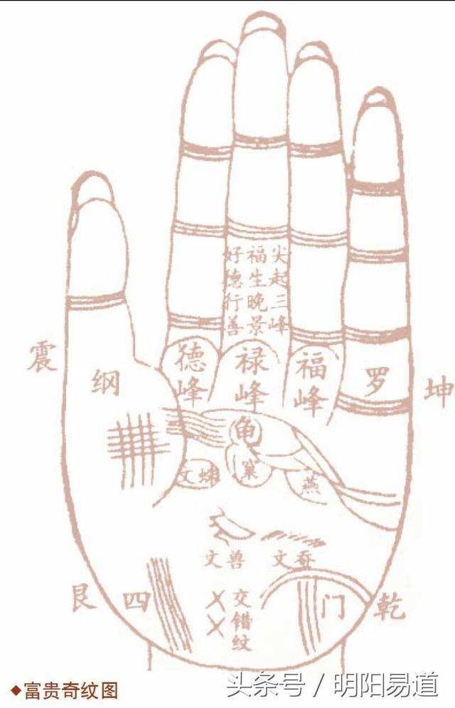 手掌每个部位名称分别是什么，秒懂手相：从掌丘看事业财运