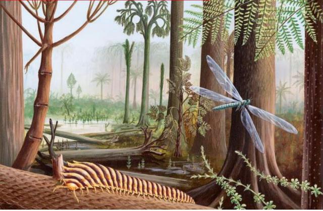 巨型远古昆虫的体型巨大原因，巨型远古昆虫的体型巨大原因在于（盘点这个地球远古与现代的”大虫“）