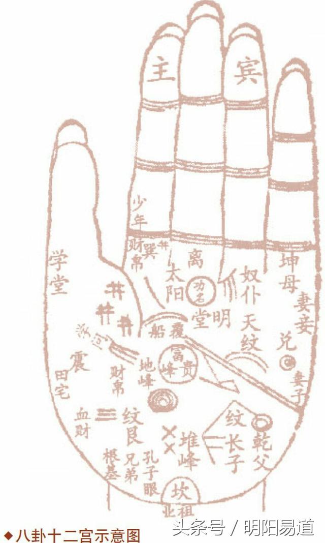 手掌每个部位名称分别是什么，秒懂手相：从掌丘看事业财运