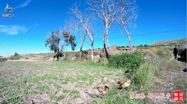 莜面饺子的做法，莜面饺子素馅做法大全（老张莜面的大嫂这样做莜面锅巴饺子）