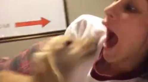 我的第一次给了狗，我的第一次给狗狗（主人在家里和狗狗做不可描述的事）