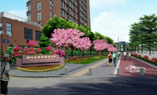 非主流！深圳北理莫斯科大学之困局浅分析，深圳北理莫斯科大学是综合评价的经典院校（深圳北理莫斯科大学是怎么样的大学）