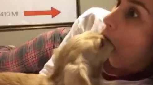 我的第一次给了狗，我的第一次给狗狗（主人在家里和狗狗做不可描述的事）