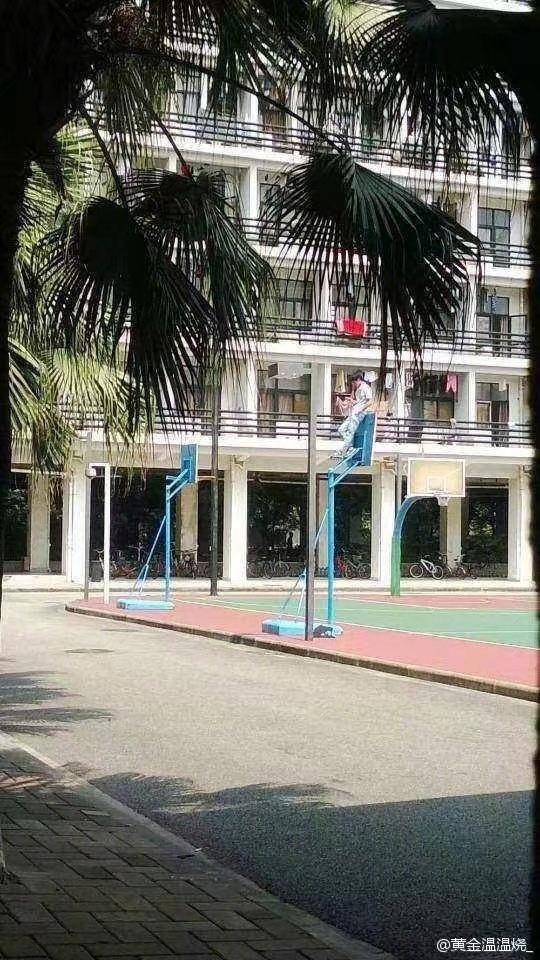 坂本大佬是什么意思，可怜你帅不过坂本大佬是什么意思（那些年我们见过的坂本大佬）