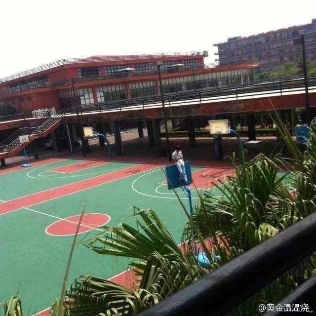 坂本大佬是什么意思，可怜你帅不过坂本大佬是什么意思（那些年我们见过的坂本大佬）