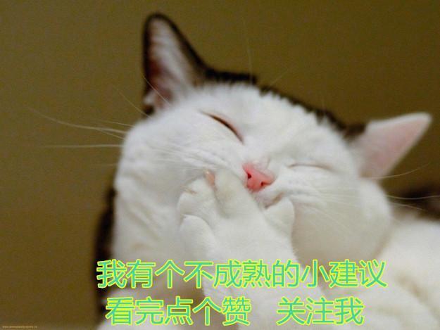 泡妞一般怎么聊天，泡妞一般怎么聊天的（聊天泡妞必杀技巧）