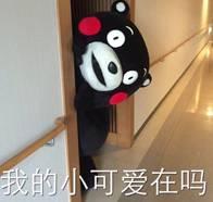 日语亚麻得啥意思啊，亚麻得的意思是什么意思（扒一扒这些明星奇葩外号的由来）