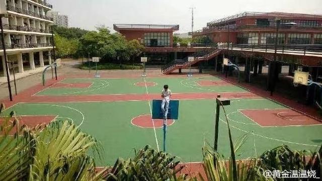 坂本大佬是什么意思，可怜你帅不过坂本大佬是什么意思（那些年我们见过的坂本大佬）