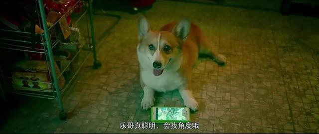 破局豆瓣 郭富城，破局豆瓣（今年最惊艳的香港CULT片）