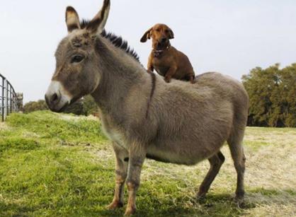 优质高冷女生头像<静子>微信，优质高冷女生头像<静子>（作为一名阅尸无数的警察）