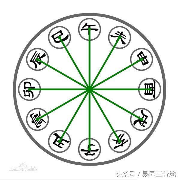 子午卯酉为什么不吉利，子午卯酉越多越好吗（八字地支相冲隐藏的秘密）