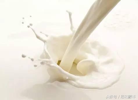 羊眼的功效与作用，羊眼的营养成分（<让更多人知道羊肉的价值>）