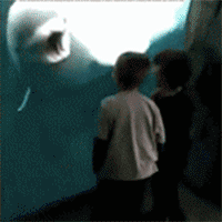 优质高冷女生头像<静子>微信，优质高冷女生头像<静子>（作为一名阅尸无数的警察）