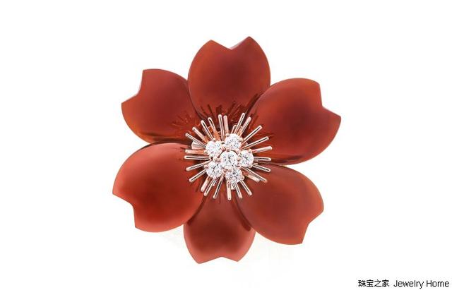 胸针的定义是什么，胸针形状的意义（但戴起来了请你知道为什么）