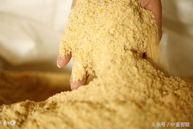 什么是饲养标准，肉牛营养需要和饲养标准（什么是饲养标准和营养需要量）