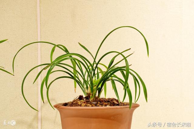 微信名后面有个小人是什么意思，微信昵称旁边的小人是什么意思（微信上有个小人表现的是什么意思呢）