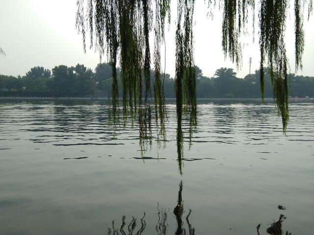 《幻塔》芙芙遗失的食谱支线任务攻略，优质rb系统游戏攻略芙芙（京城天凉了贴秋膘去）