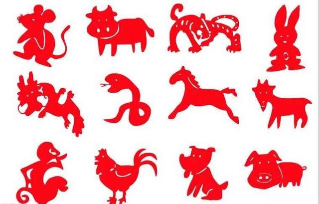 什么数字组合最旺财，手机号后四位决定财运（特别能够旺财的生肖婚配）