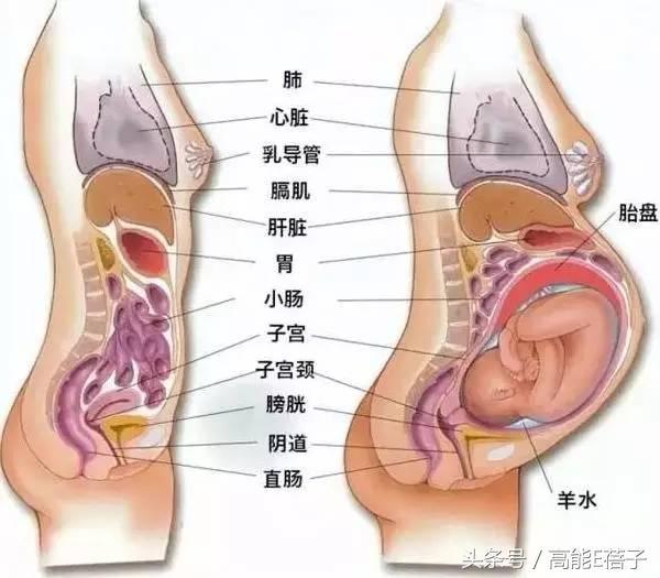 陈浩民老婆蒋丽莎回应五年剖腹产四胎：生了4个孩子都没有坐月子