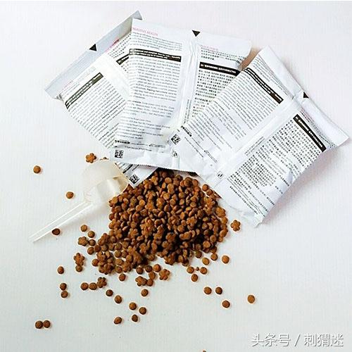 如何喂养宠物刺猬，如何家养刺猬宠物（先准备好这些再说）
