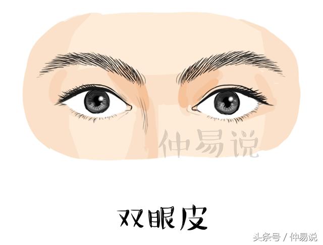 一个单眼皮一个双眼皮怎么回事，一个双眼皮一个单眼皮是怎么办（揭秘隐藏在眼睛里的相学秘密）