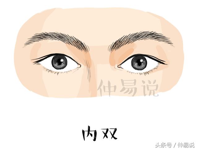 一个单眼皮一个双眼皮怎么回事，一个双眼皮一个单眼皮是怎么办（揭秘隐藏在眼睛里的相学秘密）