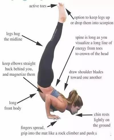 头倒立和手倒立哪个难，头倒立与手倒立哪个好（比起头倒立，这个倒立简单多了）