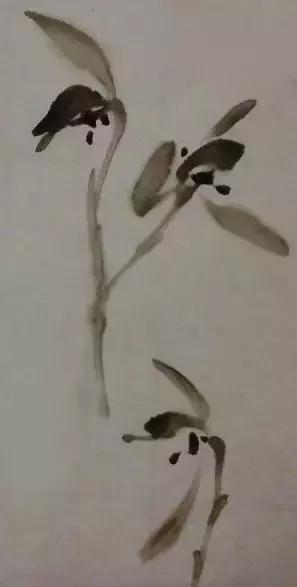 怎样简单画兰花，怎样简单画猴子（一学就会：兰花的写意画法）